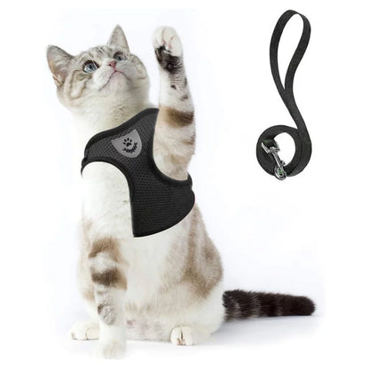 Cat Harness and Leash Set for Walking Cat