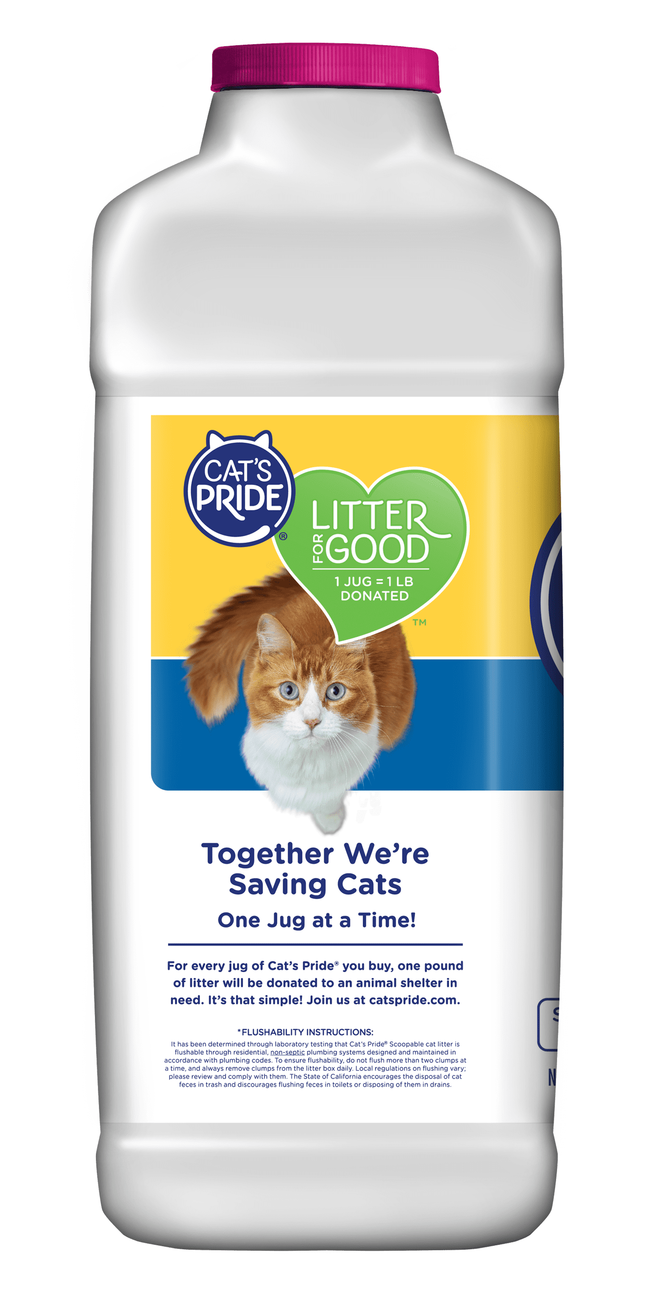 (2 Pack)  C01941-C60 10Lb Jug Cat Litter