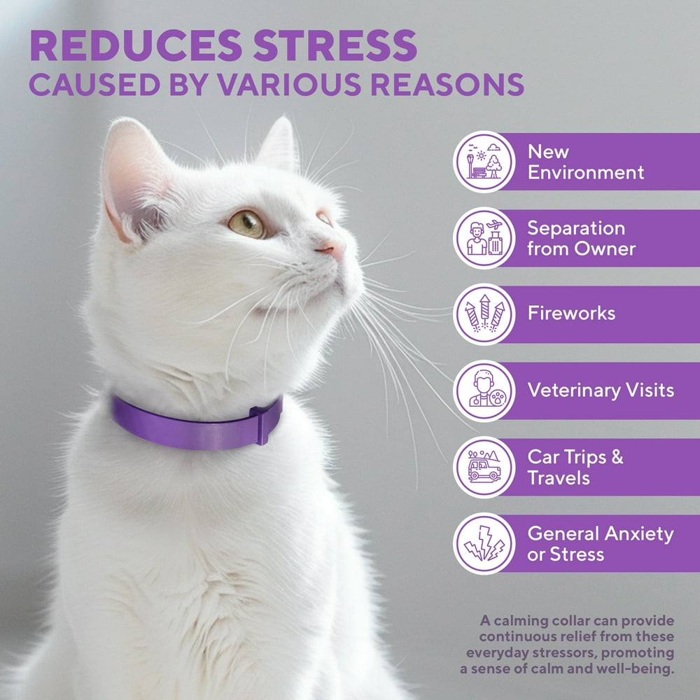 Cat Calming Collar - Cats Stress Relief Comfort, Helps with Pee, Aggression, Fighting with Dogs & Other Behavior