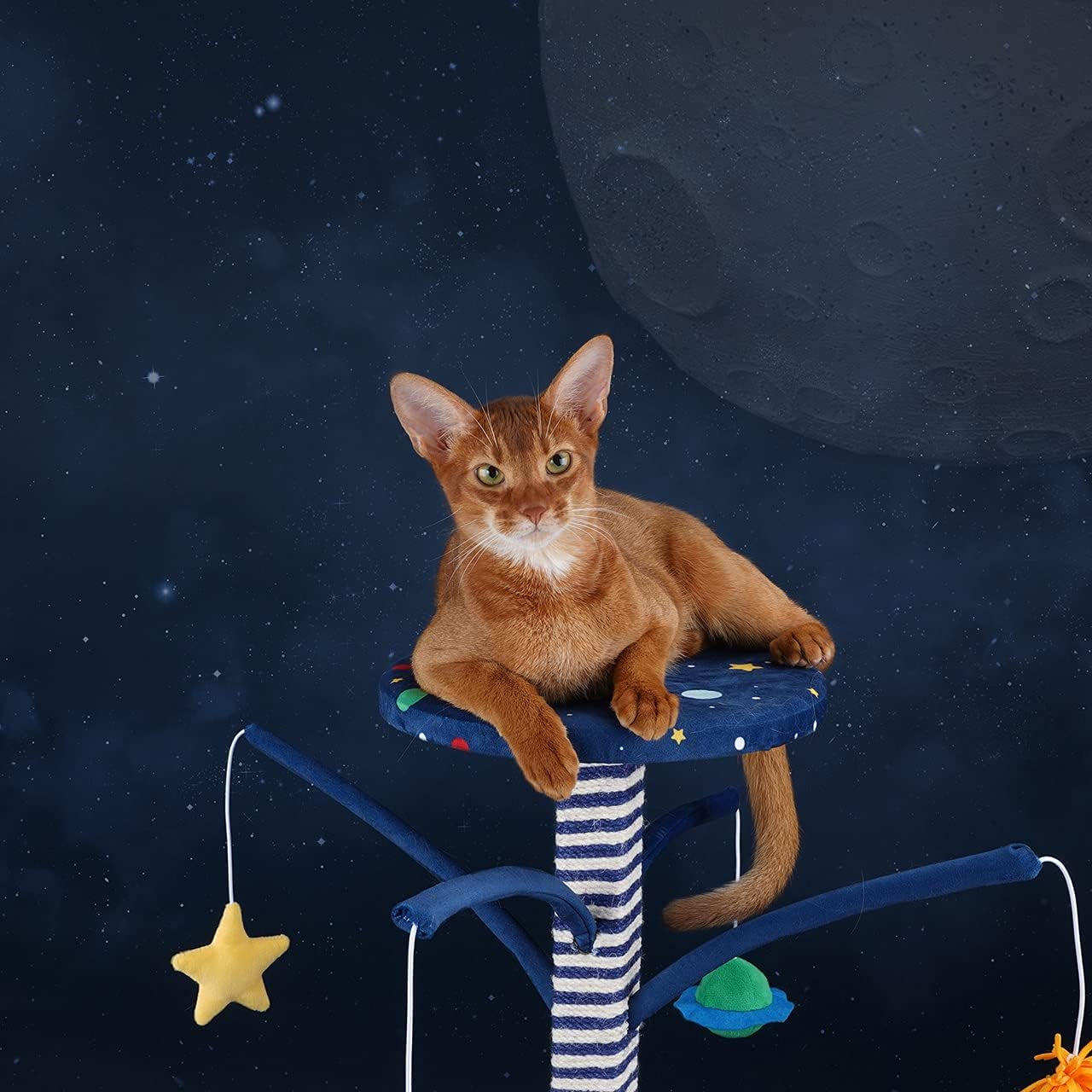 Starry Cat Scratching Post with Space Teaser Toys