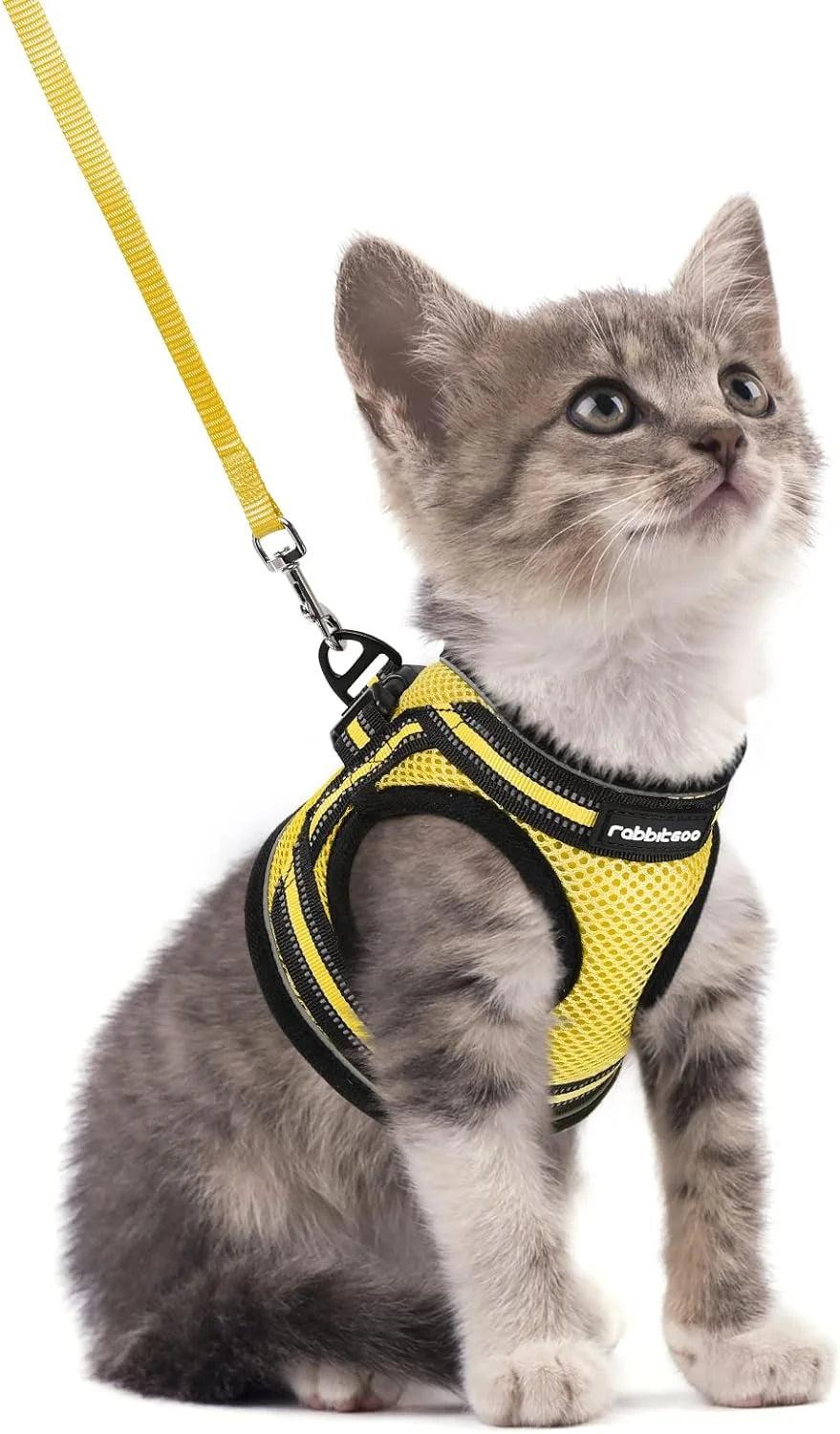 Cat Harness and Leash Set for Walking Escape Proof, Adjustable Soft Kittens Vest with Reflective Strip for Small Cats, Comfortable Outdoor Vest