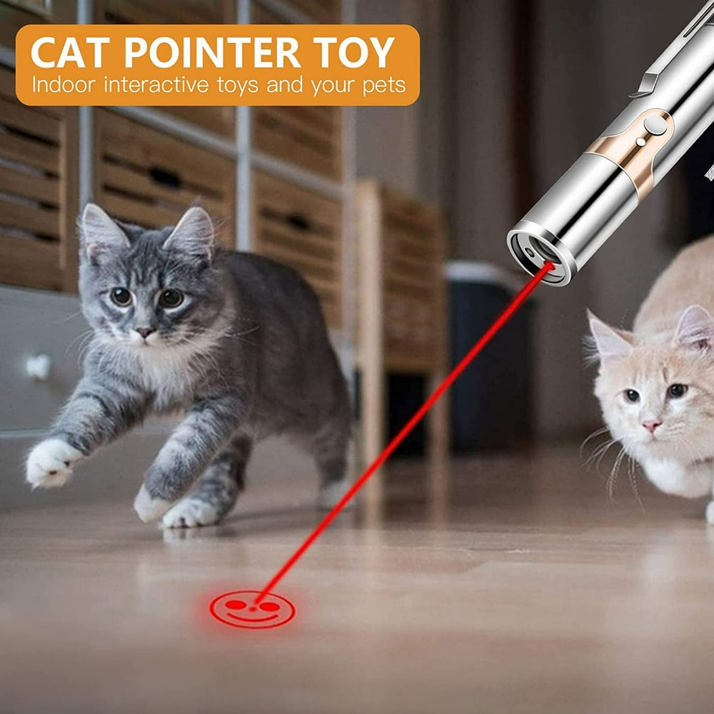 Cat Laser Pointer Toy, Rechargeable, Interactive 