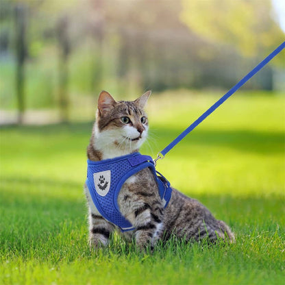 Cat Harness and Leash Set for Walking Cat , Soft Mesh with Reflective Strap, Comfort Fit for Cat