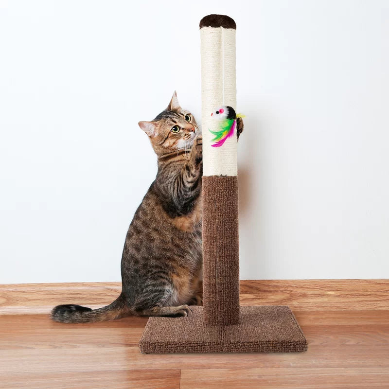 Scratching Post