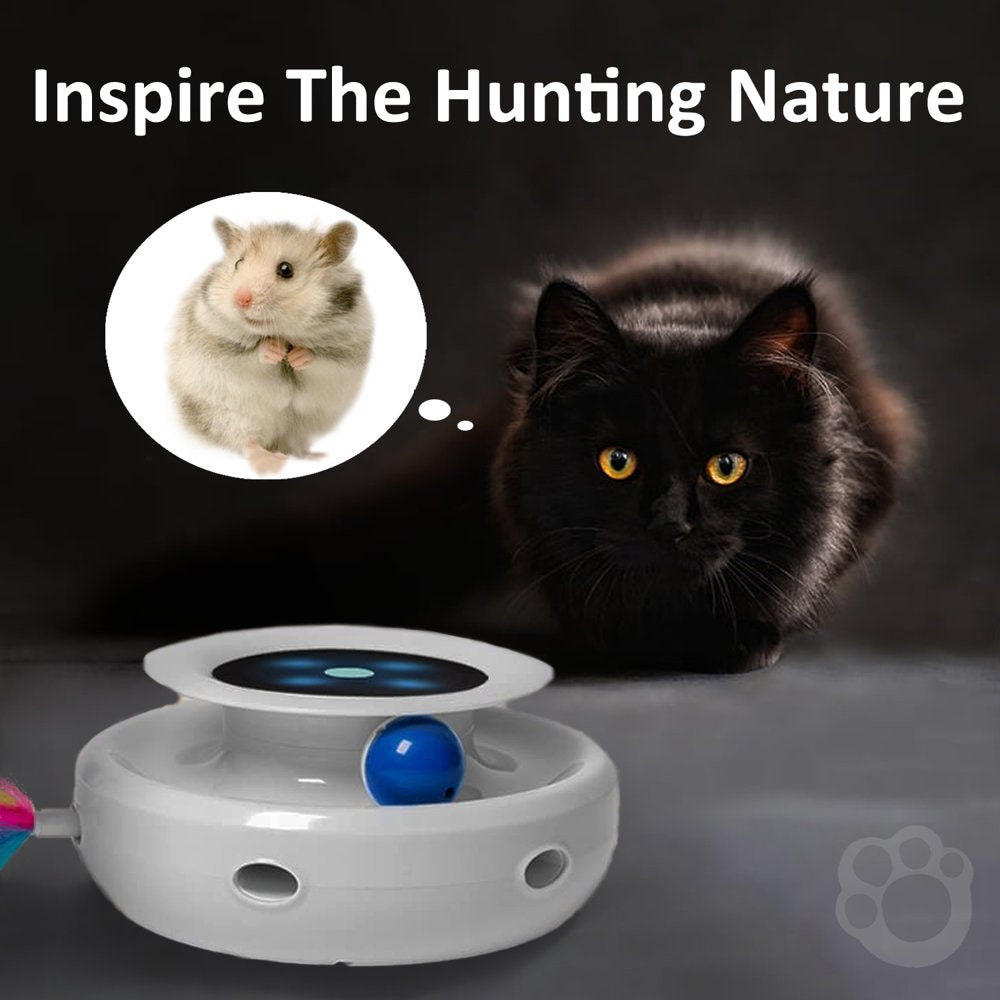 2-In-1 Interactive Cat Toys for Indoor Cats, Dual Power Supplies