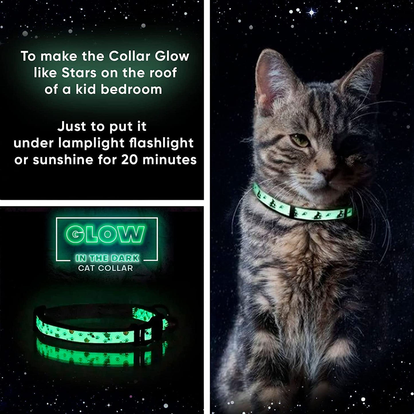 Glow in the Dark Cat Collar with Safety Buckle and Removable Bell 