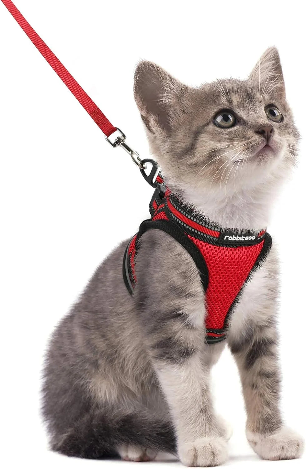 Cat Harness and Leash Set for Walking Escape Proof, Adjustable Soft Kittens Vest with Reflective Strip for Small Cats, Comfortable Outdoor Vest