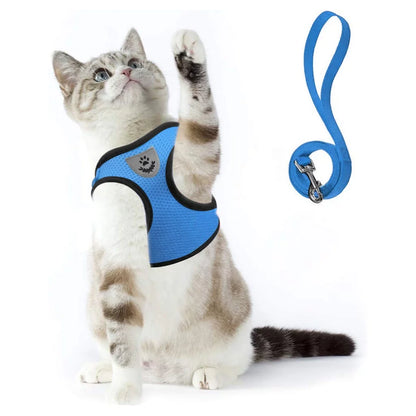 Cat Harness and Leash Set for Walking Cat