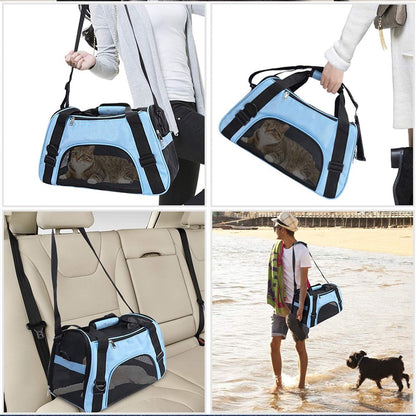 Cat Carrier Airline Approved Pet Carrier Soft Sided Carriers, 4-Window Portable Foldable Travel Bag for Medium Large Cats, Kitten (Large, Blue)