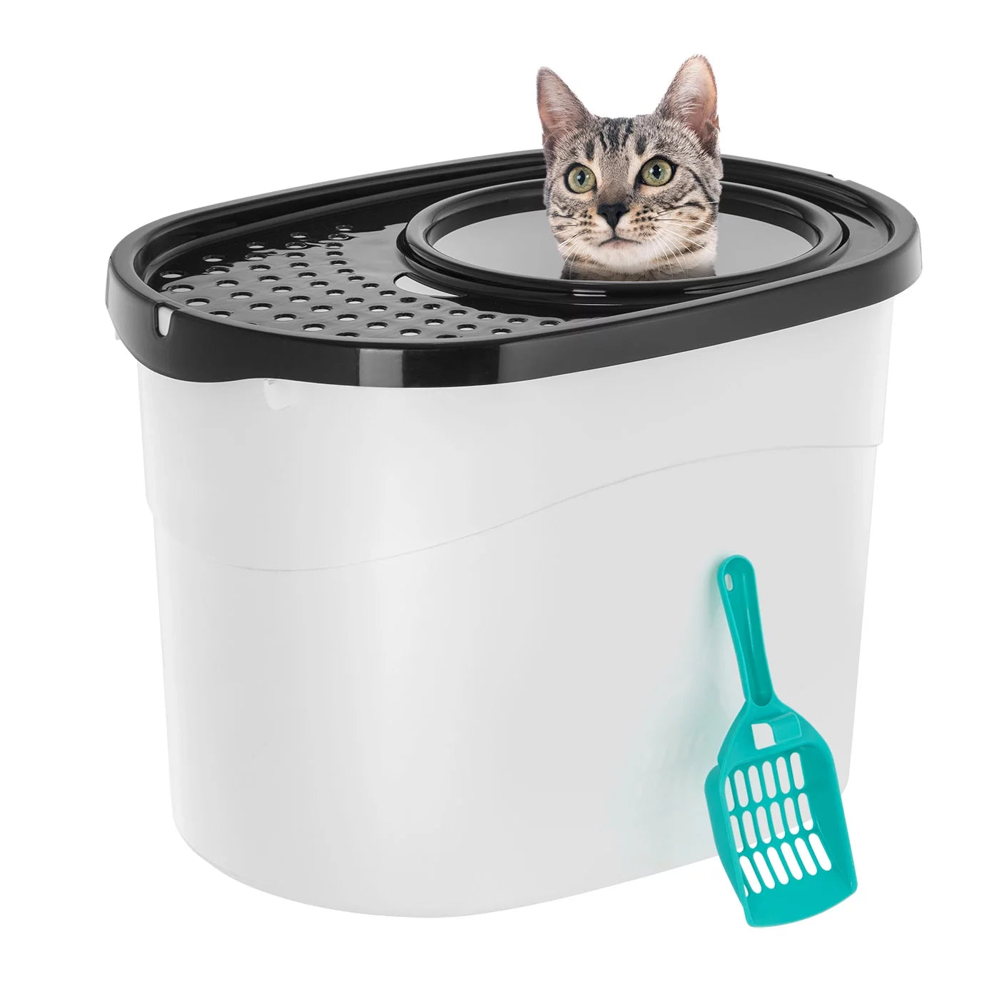 USA Large Oval Top Entry Cat Litter Box with Litter Catching Lid Privacy Walls and Scoop, White