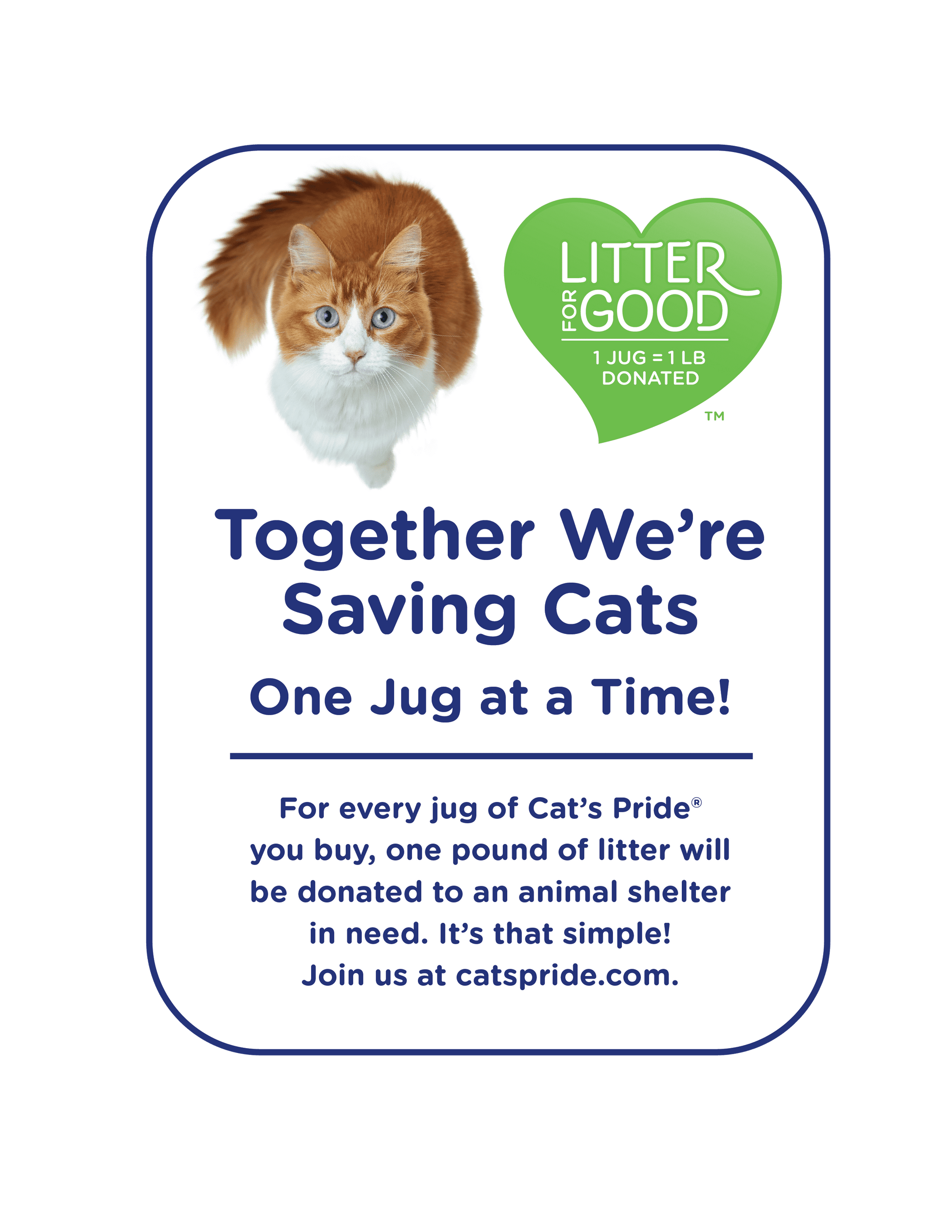 (2 Pack)  C01941-C60 10Lb Jug Cat Litter