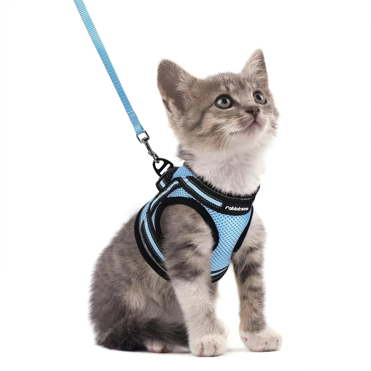 Cat Harness and Leash Set for Walking Escape Proof, Adjustable Soft Kittens Vest with Reflective Strip for Small Cats, Comfortable Outdoor Vest