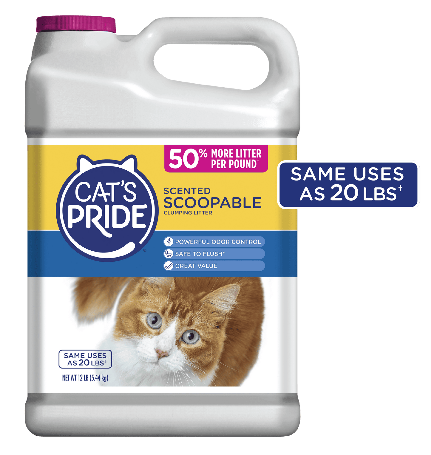 (2 Pack)  C01941-C60 10Lb Jug Cat Litter