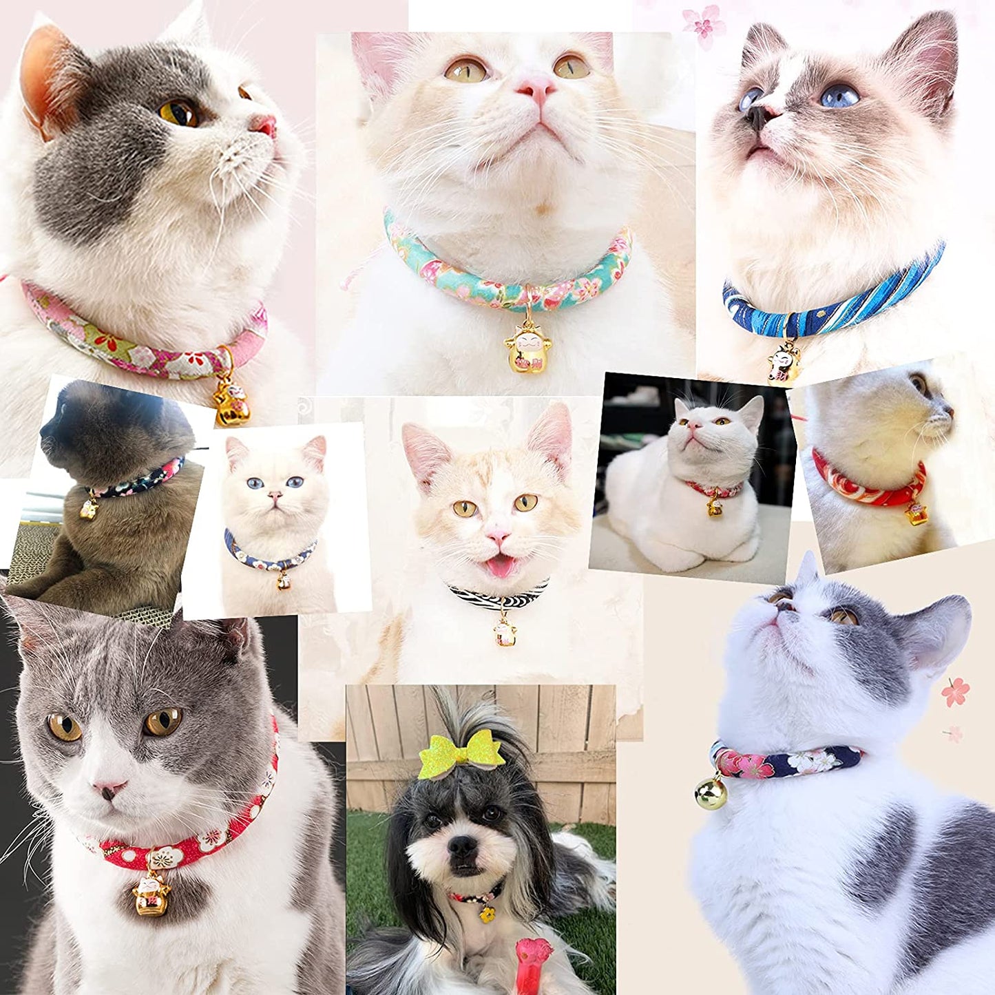 Pink Cat Collar with Bells, Floral Pattern, Kitty Safety Collars, Accessories for Pet Collars