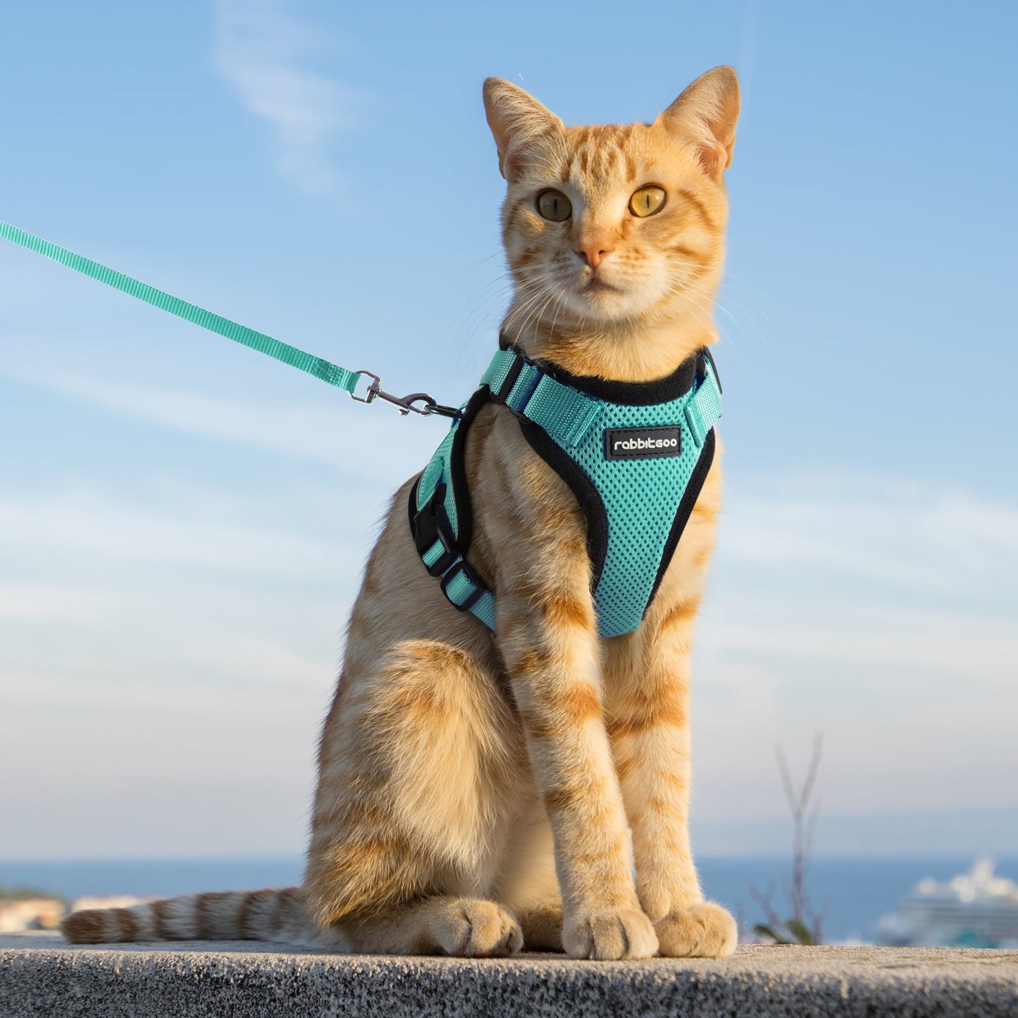 Cat Harness and Leash for Walking, Escape Proof Soft Adjustable Vest Harnesses for Cats, Easy Control Breathable Reflective Strips Jacket