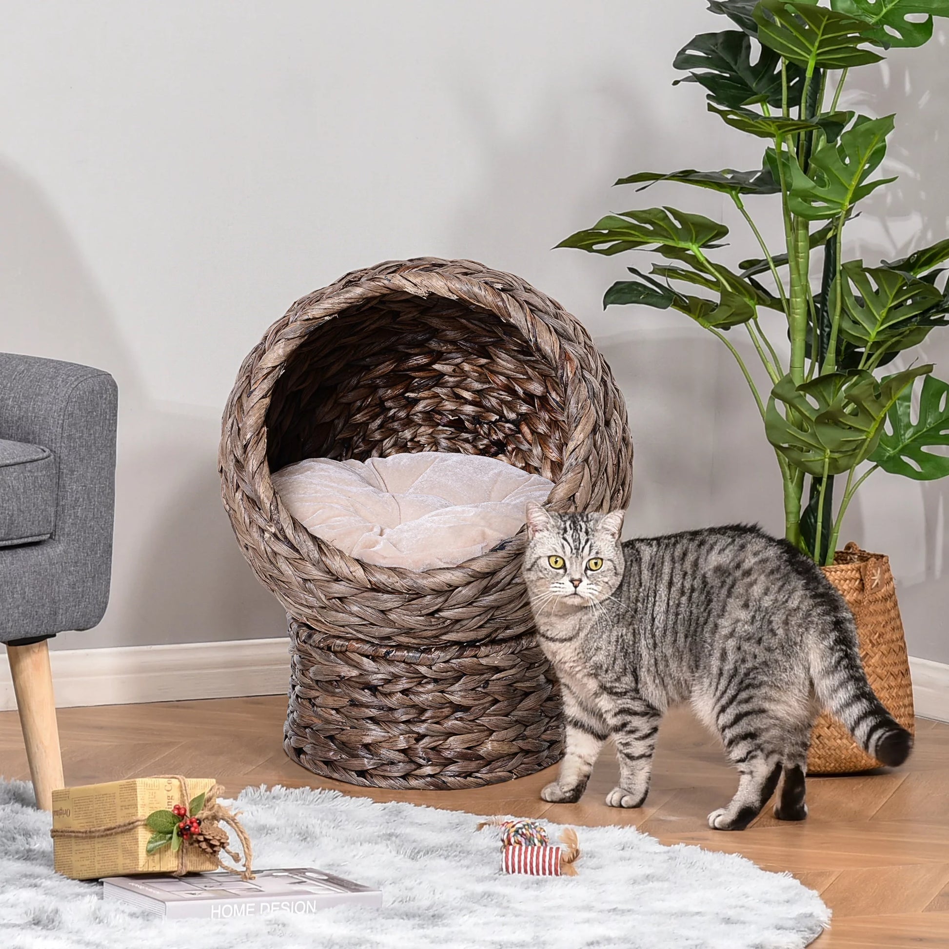 20" Rattan Elevated Cat Bed Egg Chair, Cat Basket Bed