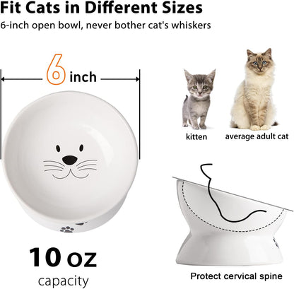 Cat Food Bowls, 10 OZ Elevated Cat Bowls for Cats, Tilted Pet Feeder Bowl with Raised Stand Protect Cat's Spine, Ceramic Cat Water Bowl No-Spill, Stress Free Cat Dish 1Pcs