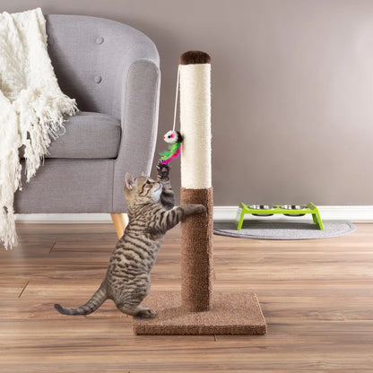 Scratching Post