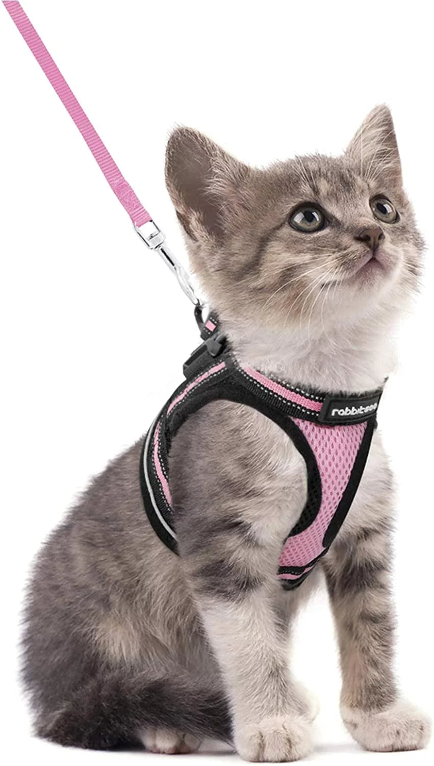 Cat Harness and Leash Set for Walking Escape Proof, Adjustable Soft Kittens Vest with Reflective Strip for Small Cats, Comfortable Outdoor Vest