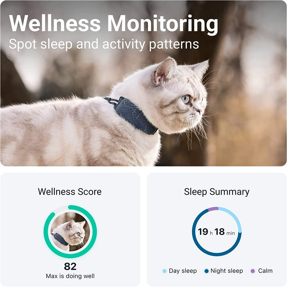 Cat GPS Tracker with Activity Monitoring, Fits Any Collar (Dark Blue)