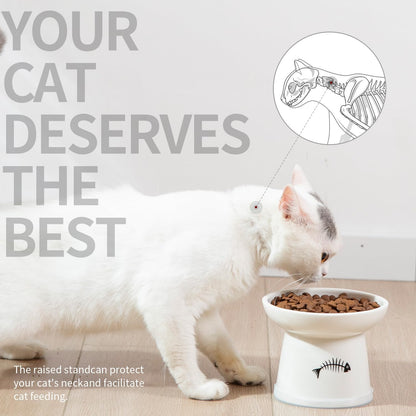 Raised Cat Food and Water Bowl Set, Whisker Friendly Elevated Ceramic Cats Feeder Bowls with anti Slip Ring, Anti-Vomiting Shallow High Porcelain, Dishwasher Safe