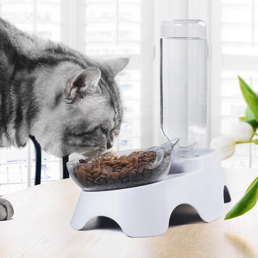 Double Cat Bowls - Pets Water and Food Bowl Set, 15°Tilted Water and Food Bowl Set with Automatic Waterer Bottle for Small or Medium Size Cats