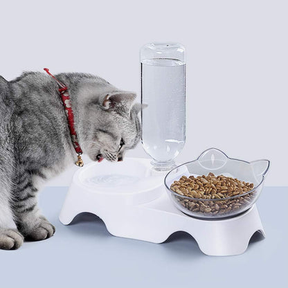 Double Cat Bowls - Pets Water and Food Bowl Set, 15°Tilted Water and Food Bowl Set with Automatic Waterer Bottle for Small or Medium Size Cats