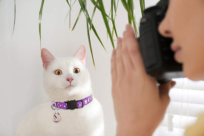 2 Pack Breakaway Cat Collar with Bell Gold Moons and Stars 