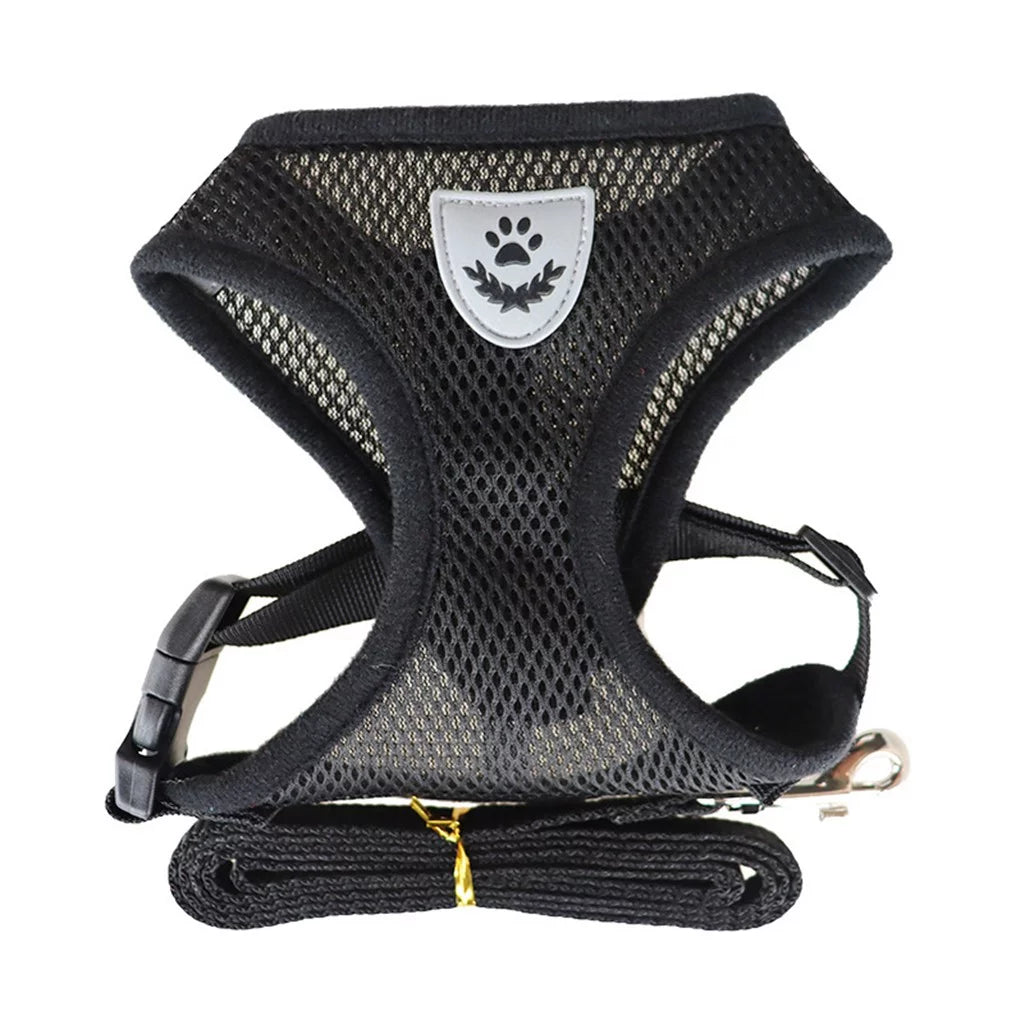 Cat Harness and Leash Set for Walking Cat