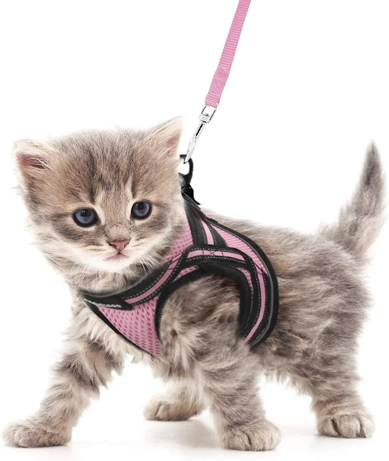 Cat Harness and Leash Set for Walking Escape Proof, Adjustable Soft Kittens Vest with Reflective Strip for Small Cats, Comfortable Outdoor Vest