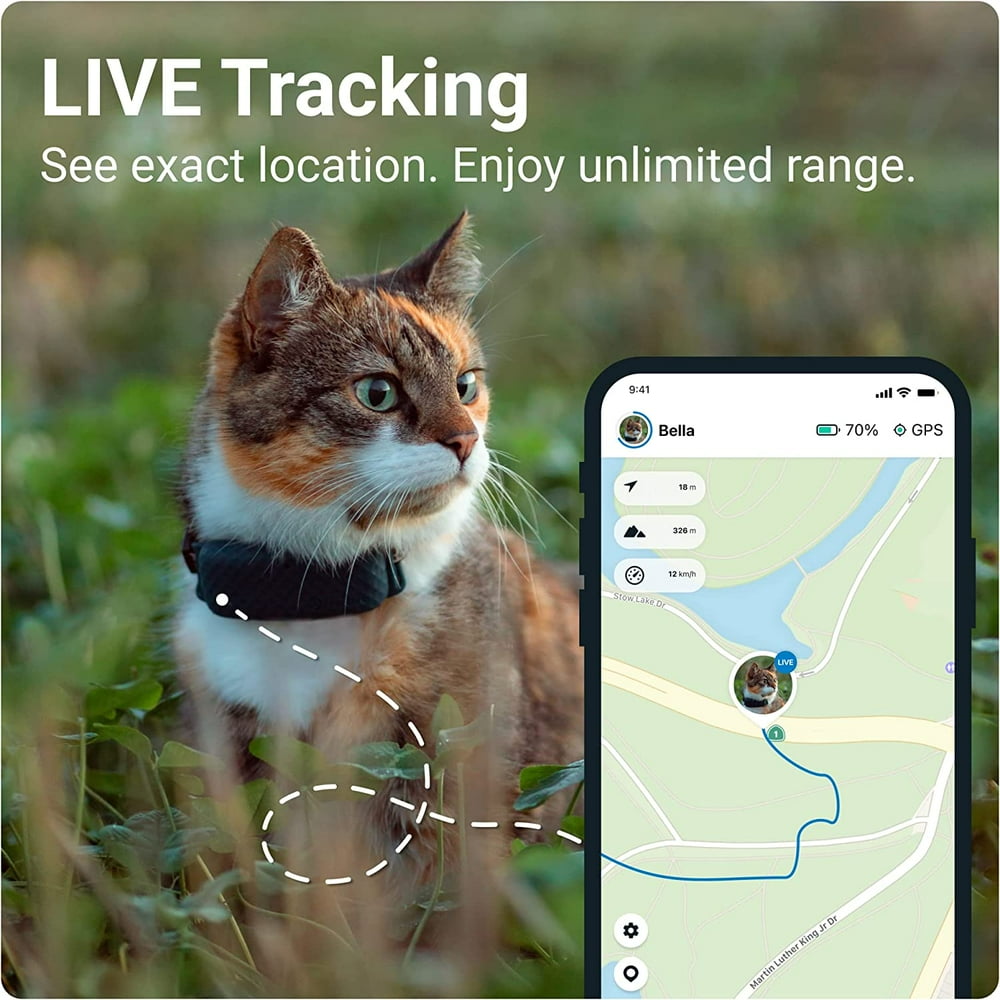 Cat GPS Tracker with Activity Monitoring, Fits Any Collar (Dark Blue)