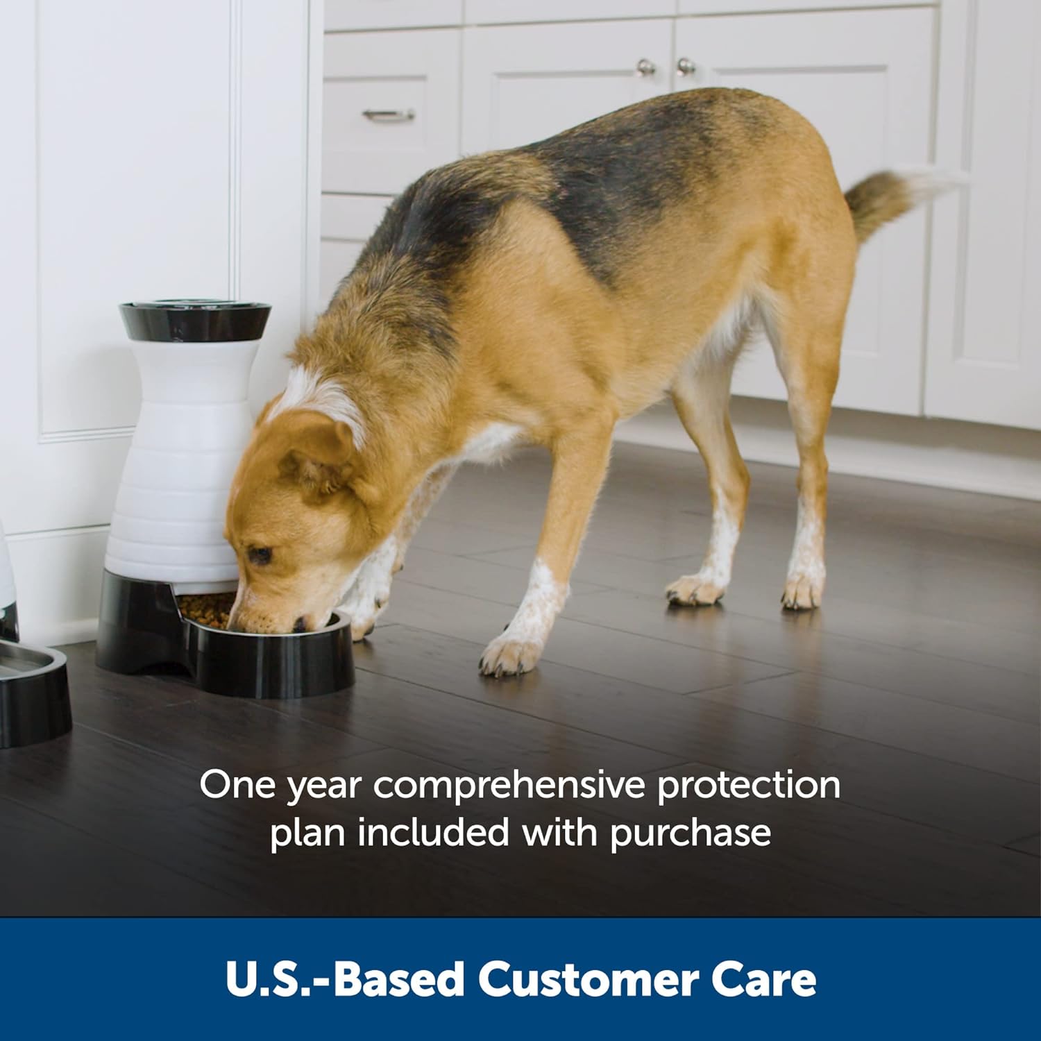 Healthy Pet Food Station - Small, 2 Lb Kibble Capacity - Automatic Cat Feeder  - Removable Stainless Steel Bowl Resists Corrosion & Stands up to Frequent Use - Easy to Fill