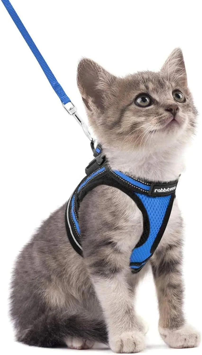 Cat Harness and Leash Set for Walking Escape Proof, Adjustable Soft Kittens Vest with Reflective Strip for Small Cats, Comfortable Outdoor Vest