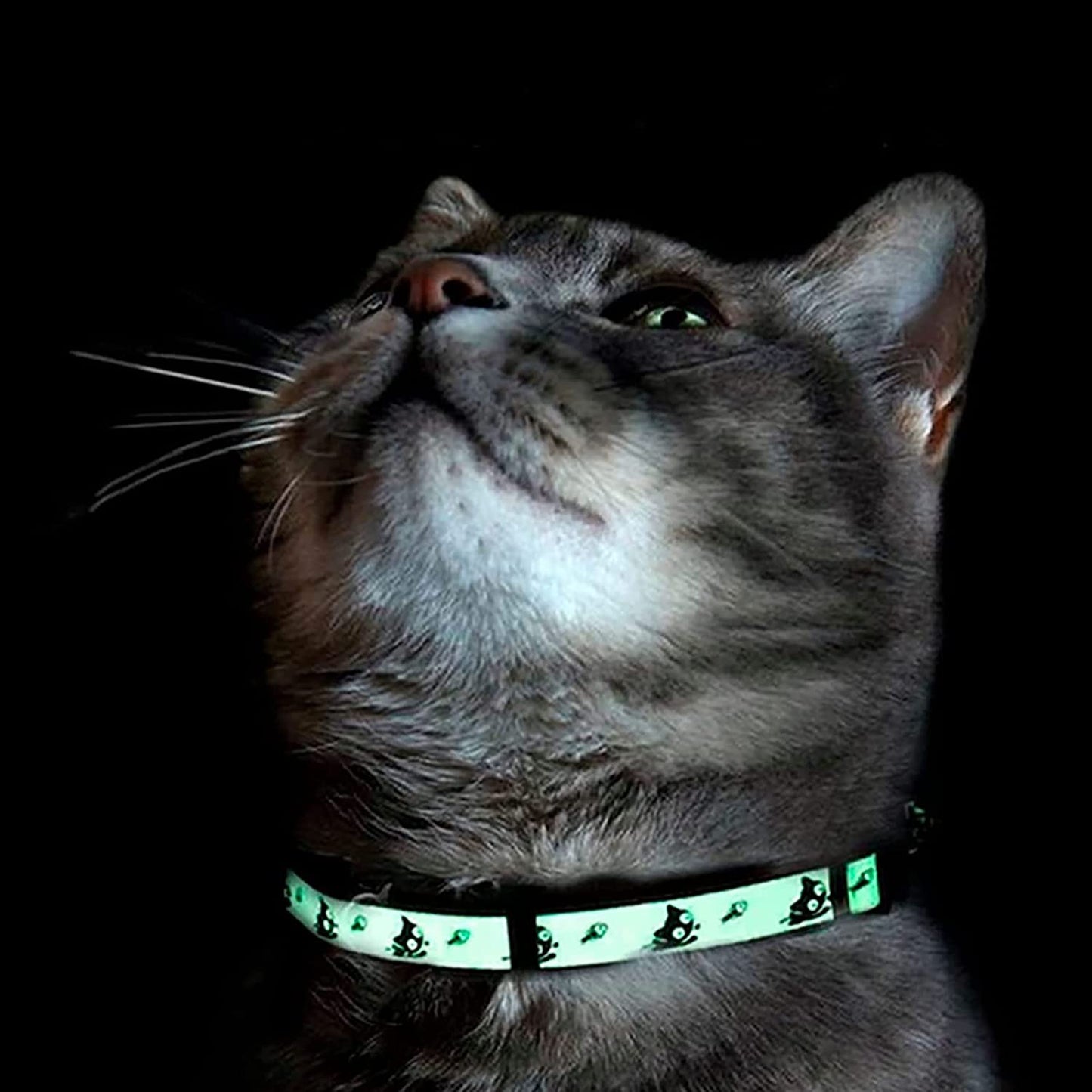 Glow in the Dark Cat Collar with Safety Buckle and Removable Bell 