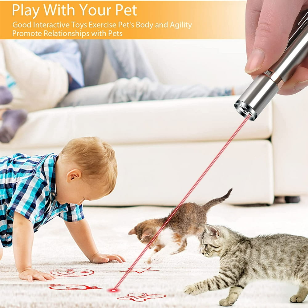 Cat Laser Pointer Toy, Rechargeable, Interactive 