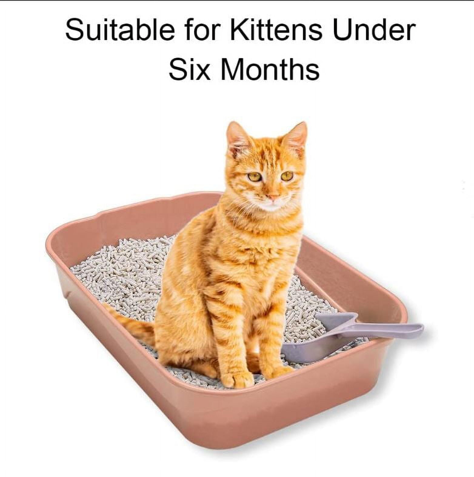 Kitty Litter Box Starter Kit - Small Cat Litter Pan without Lid, Mat, Scoop and Bowl for Kitten within 3 Months