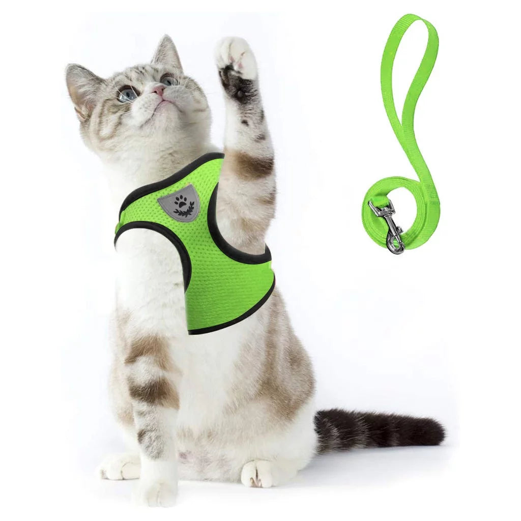 Cat Harness and Leash Set for Walking Cat