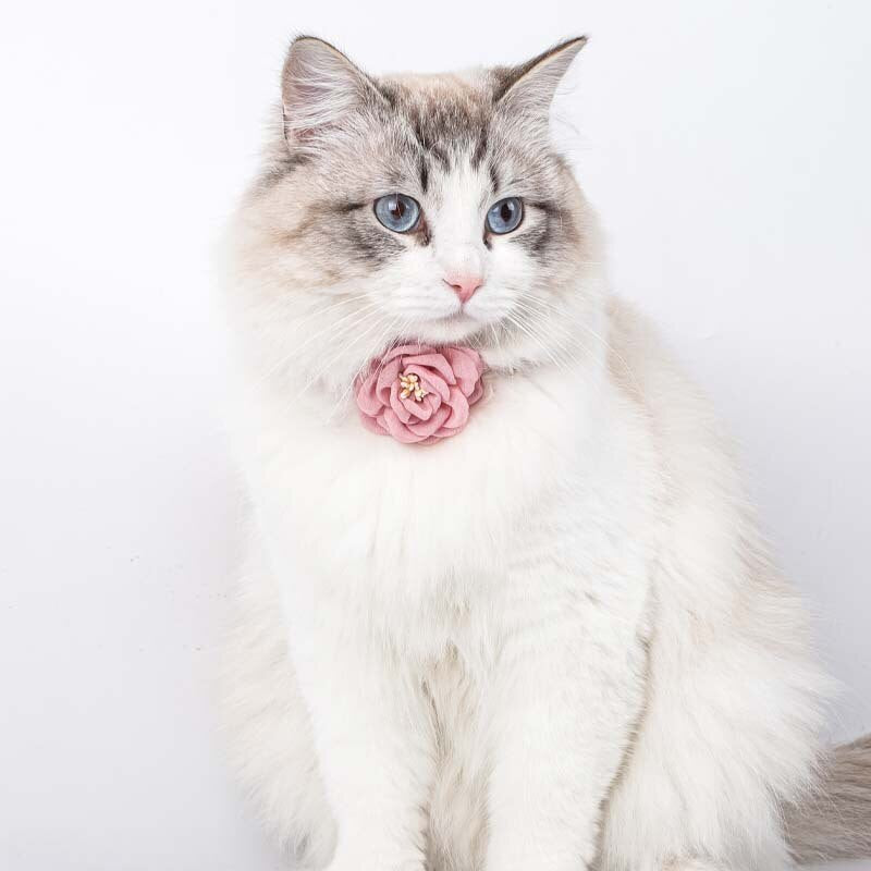 Camellia Flower Cat Collar