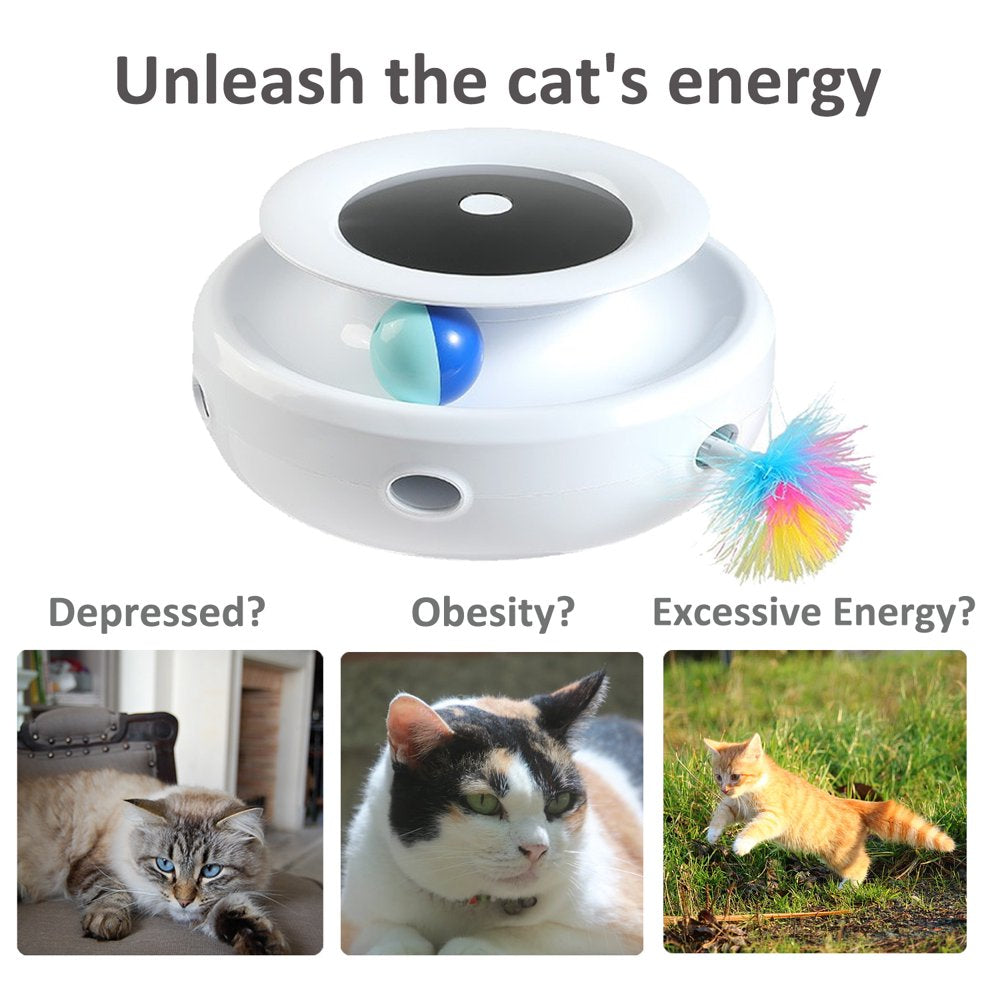 2-In-1 Interactive Cat Toys for Indoor Cats, Dual Power Supplies