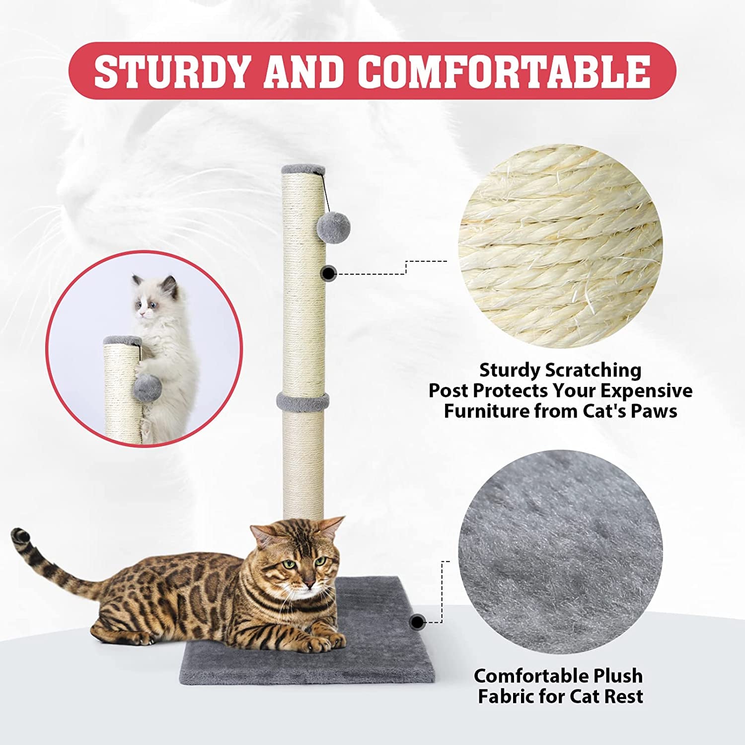 31'' Tall Cat Scratching Post - Cat Claw Scratcher with Hanging Ball - Scratching Posts for Indoor Large Cats 