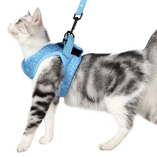 Adjustable Cat Harness Leash Set, Breathable for Cats Outdoor Walking