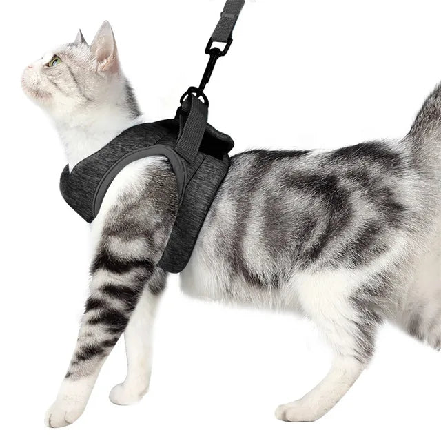 Adjustable Cat Harness Leash Set, Breathable for Cats Outdoor Walking