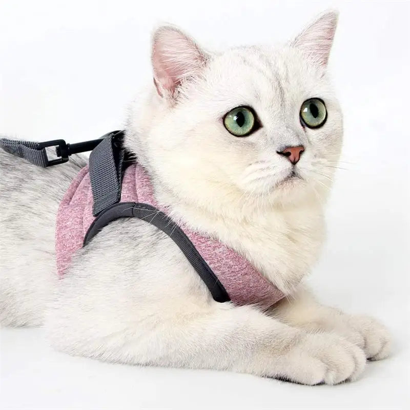 Adjustable Cat Harness Leash Set, Breathable for Cats Outdoor Walking