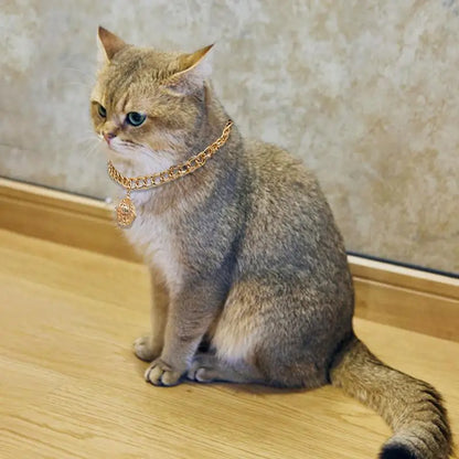 Cat Chain Collar with Bell, Fashion Design, Classic Jewelry with Hallow Bell 