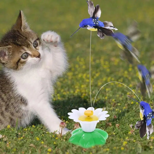 Cat Toy Rotating Electric Hummingbird