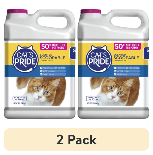 (2 Pack)  C01941-C60 10Lb Jug Cat Litter