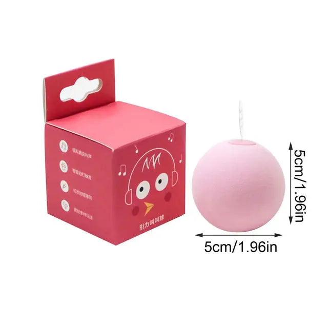 Electric Cat Ball Toys, Automatic Rolling Smart Cat Toys, Interactive for Cats Training 