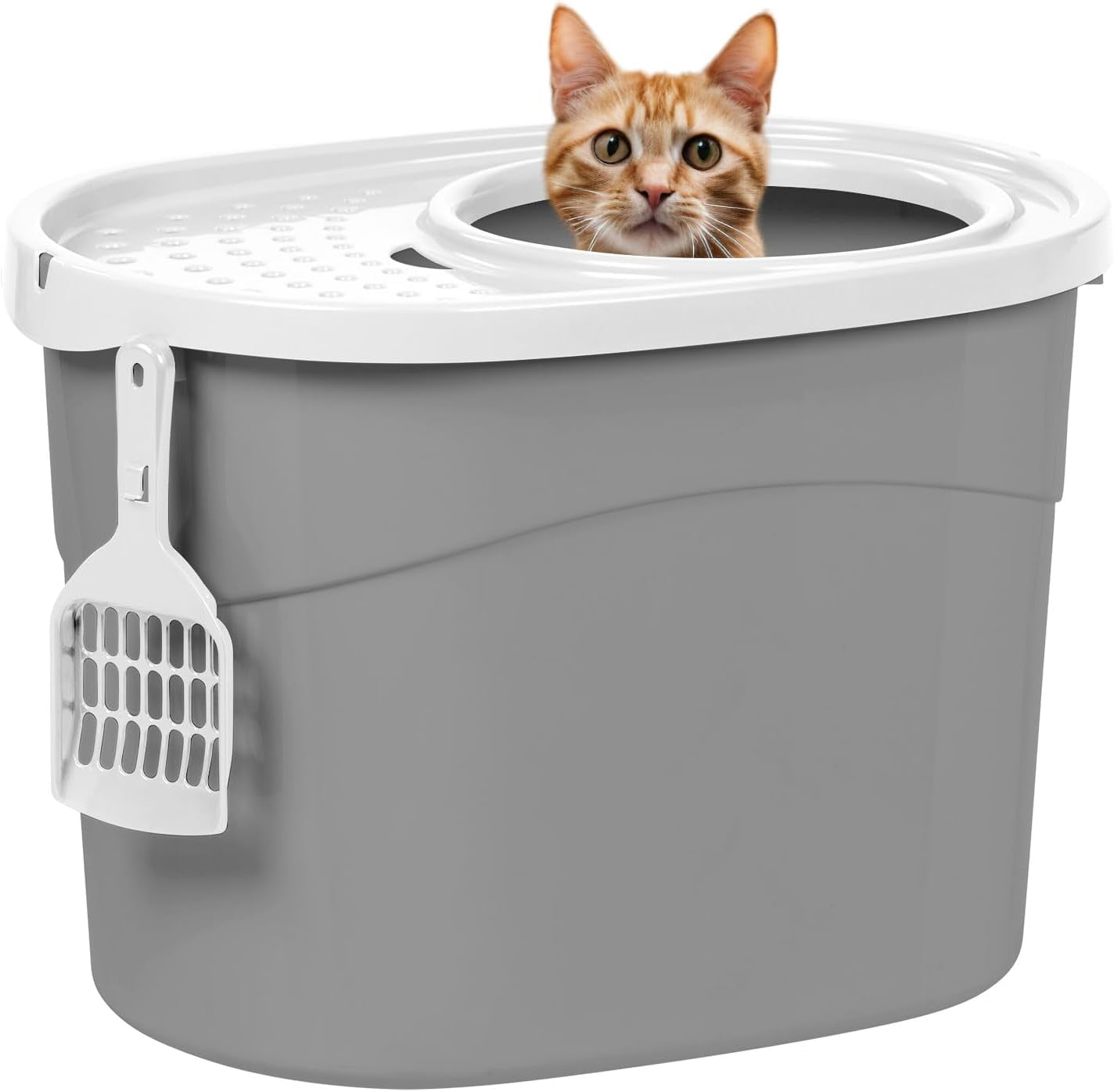 USA Large Oval Top Entry Cat Litter Box with Litter Catching Lid Privacy Walls and Scoop, White