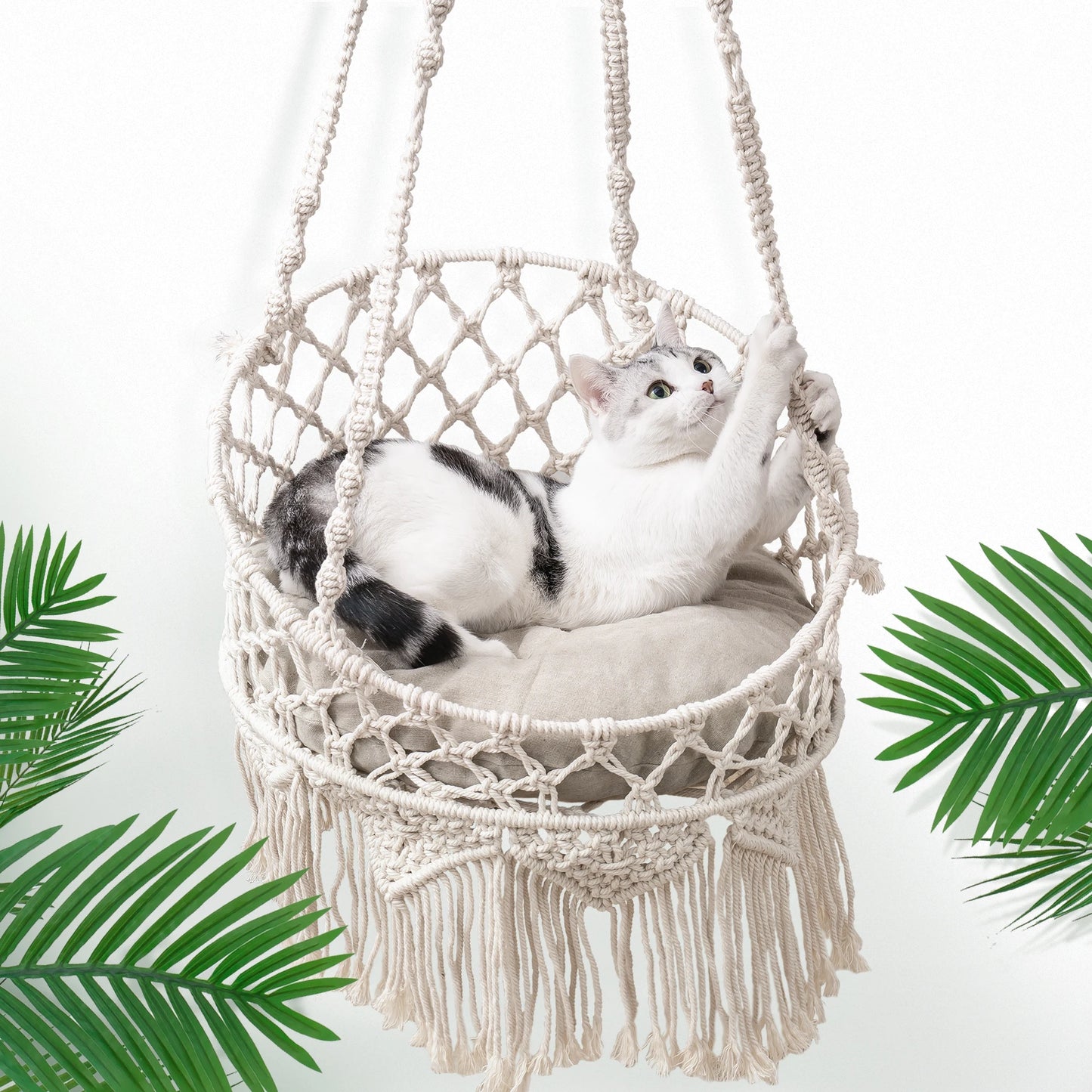 Cat Hammock, Swing Bed 