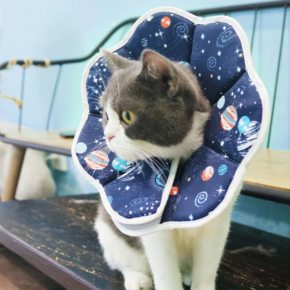 Cat Elizabethan Collar, Anti-Bite/Lick, Cats Protective Neck Collar